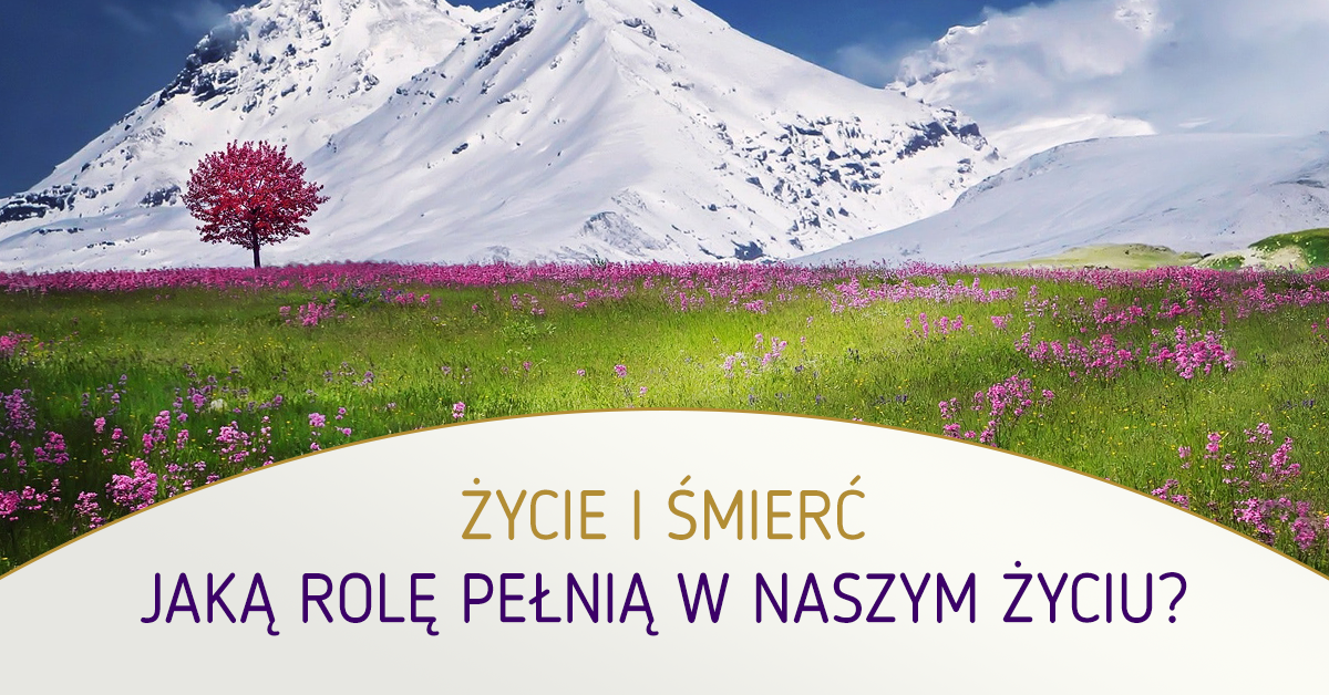 Wpis_09_Życie i Śmierć_poziom Webinar szkoły terapeutów ustawienia systemowe